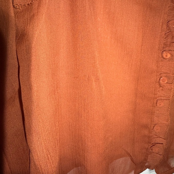 Anthropologie Forever that Girl Fall Harvest Ruffled Rust Red long sleeve Blouse - Picture 8 of 9